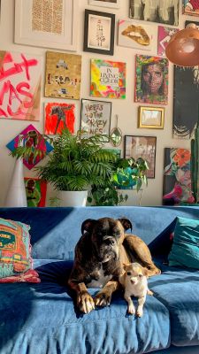 The Edge A dog and a cat lounging together on a couch in a cozy room.