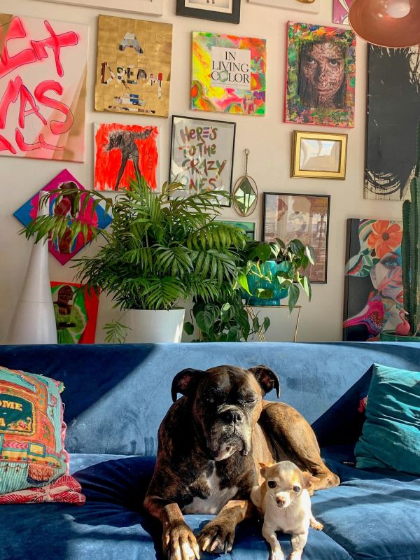 The Edge A dog and a cat lounging together on a couch in a cozy room.